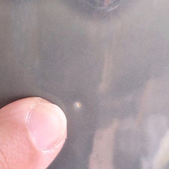 San Clemente Roday California Pottery 60s Vintage Bar Beer Pitcher Mugs Zodiac - Picture 15 of 16